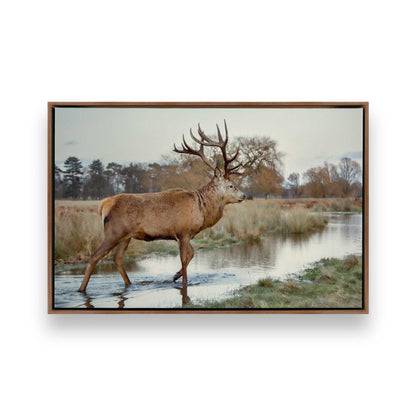 [Color:Walnut], Picture of art in a Walnut frame