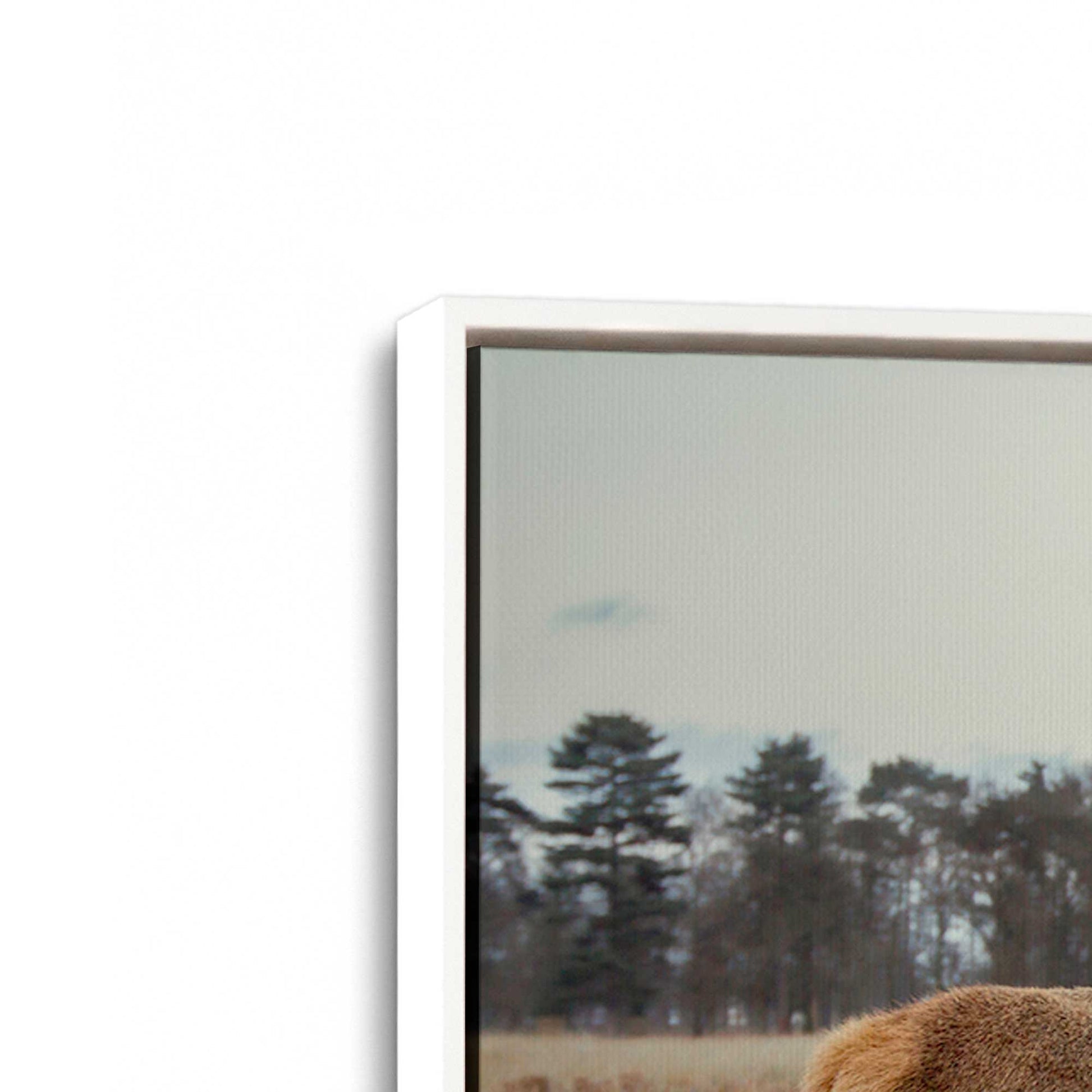 [Color:Opaque White], Picture of art in a White frame at an angle