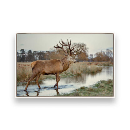 [Color:Opaque White], Picture of art in a White frame