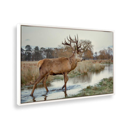 [Color:Opaque White], Picture of the corner of the art