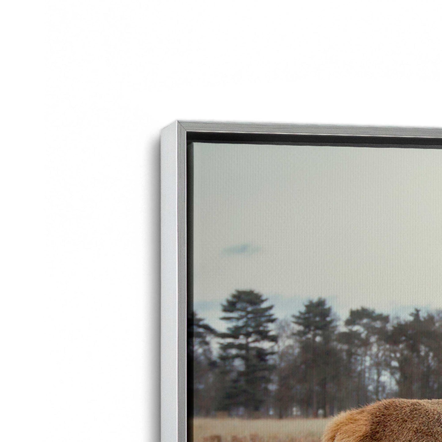 [Color:Polished Chrome], Picture of art in a Polished Chrome frame at an angle