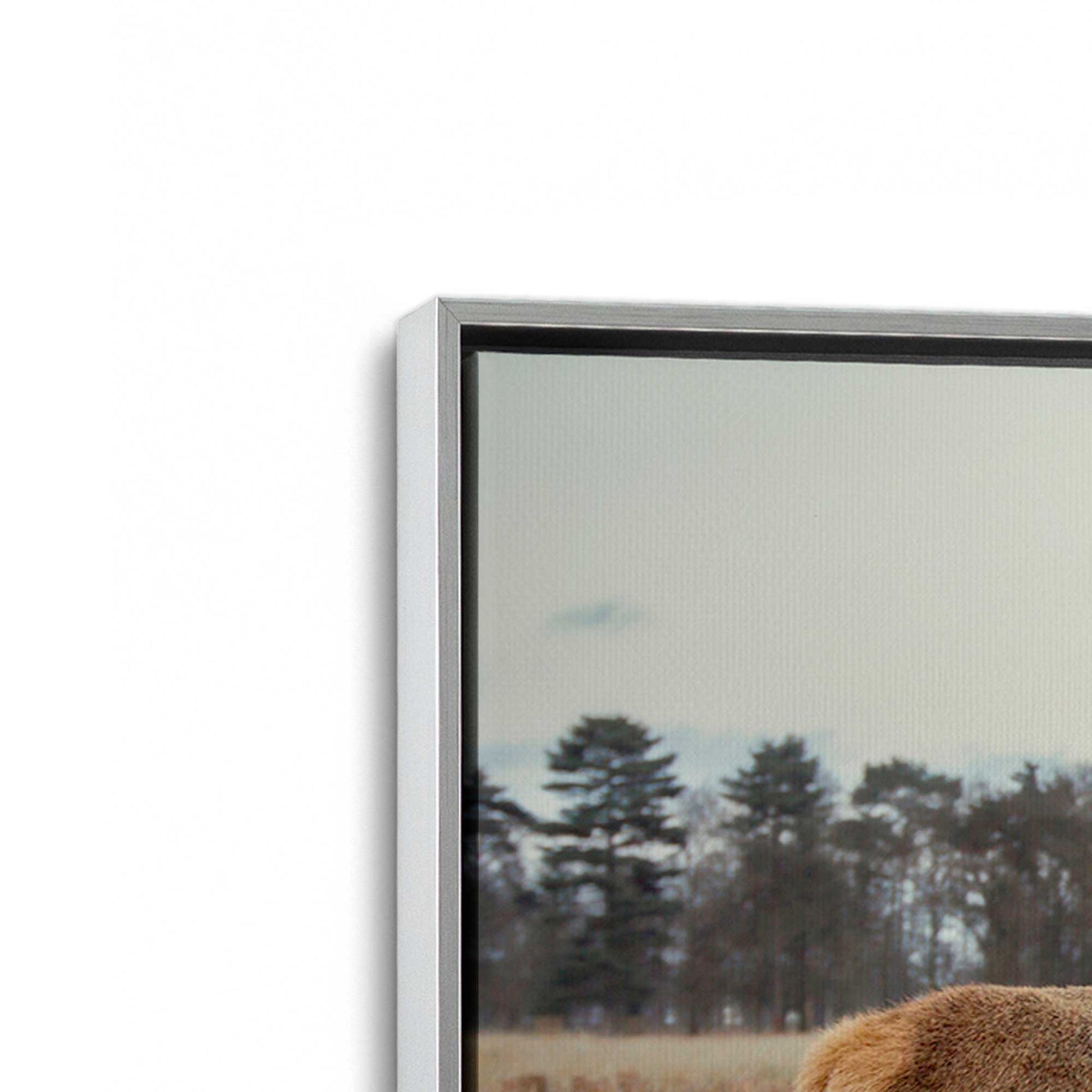 [Color:Polished Chrome], Picture of art in a Polished Chrome frame at an angle