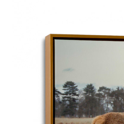 [Color:Polished Gold], Picture of art in a Polished Gold frame at an angle