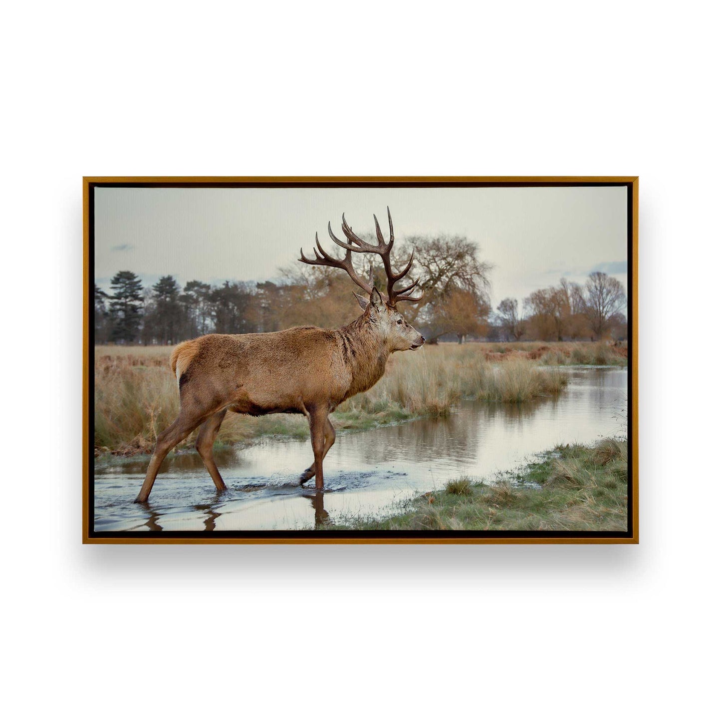 [Color:Polished Gold], Picture of art in a Polished Gold frame