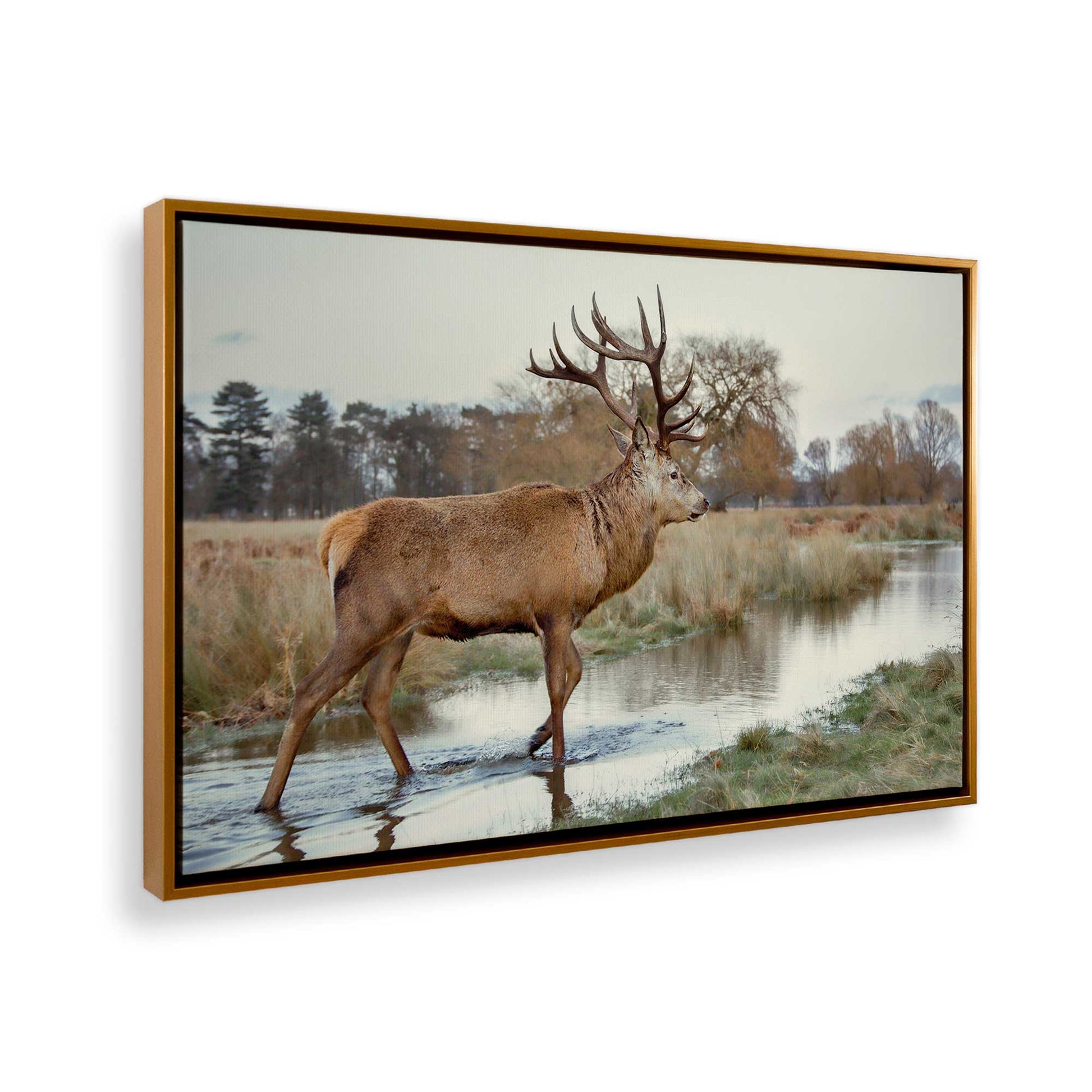 [Color:Polished Gold], Picture of the corner of the art