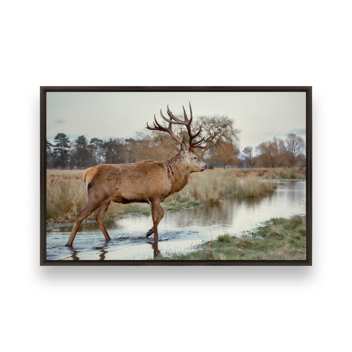 [Color:Espresso], Picture of art in a Espresso frame