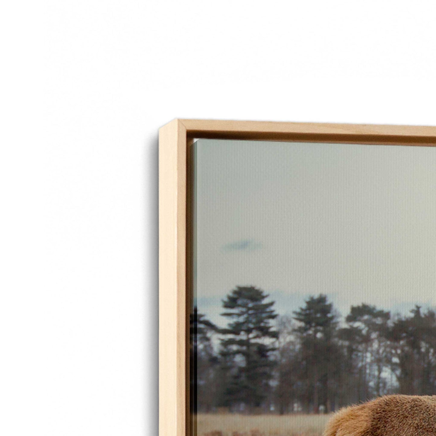 [Color:American Maple], Picture of art in a American Maple frame at an angle