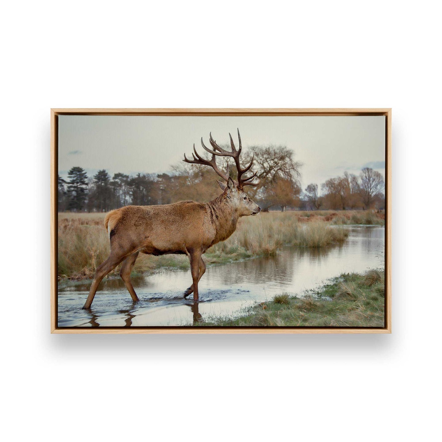 [Color:American Maple], Picture of art in a American Maple frame