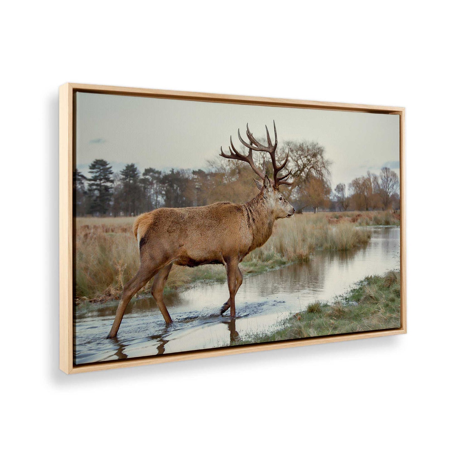 [Color:American Maple], Picture of the corner of the art