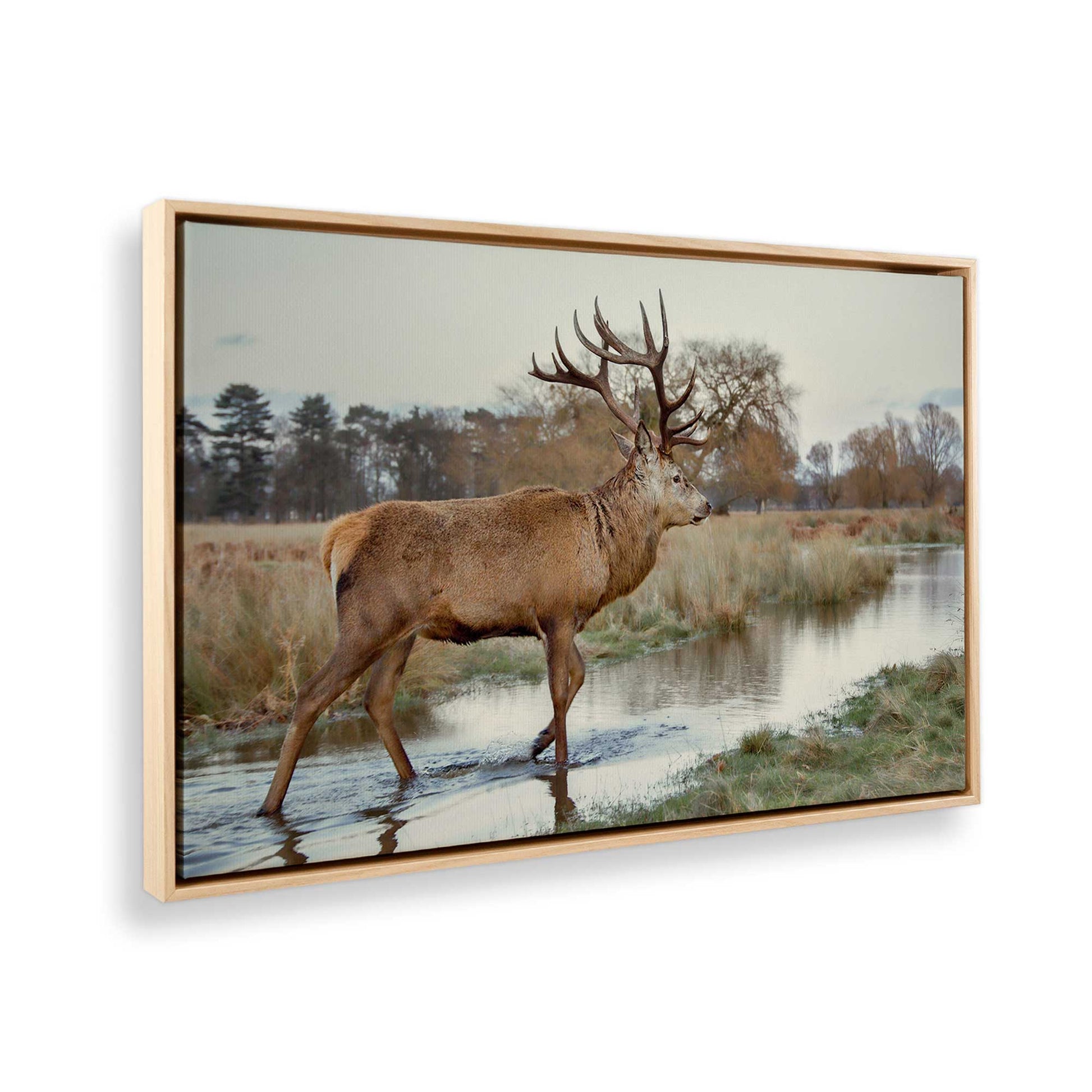 [Color:American Maple], Picture of the corner of the art