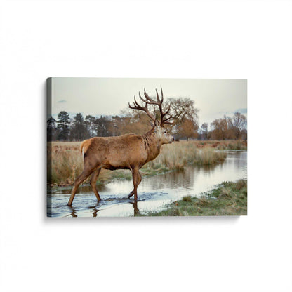 [Color:Stretched Canvas], Picture of art at an angle