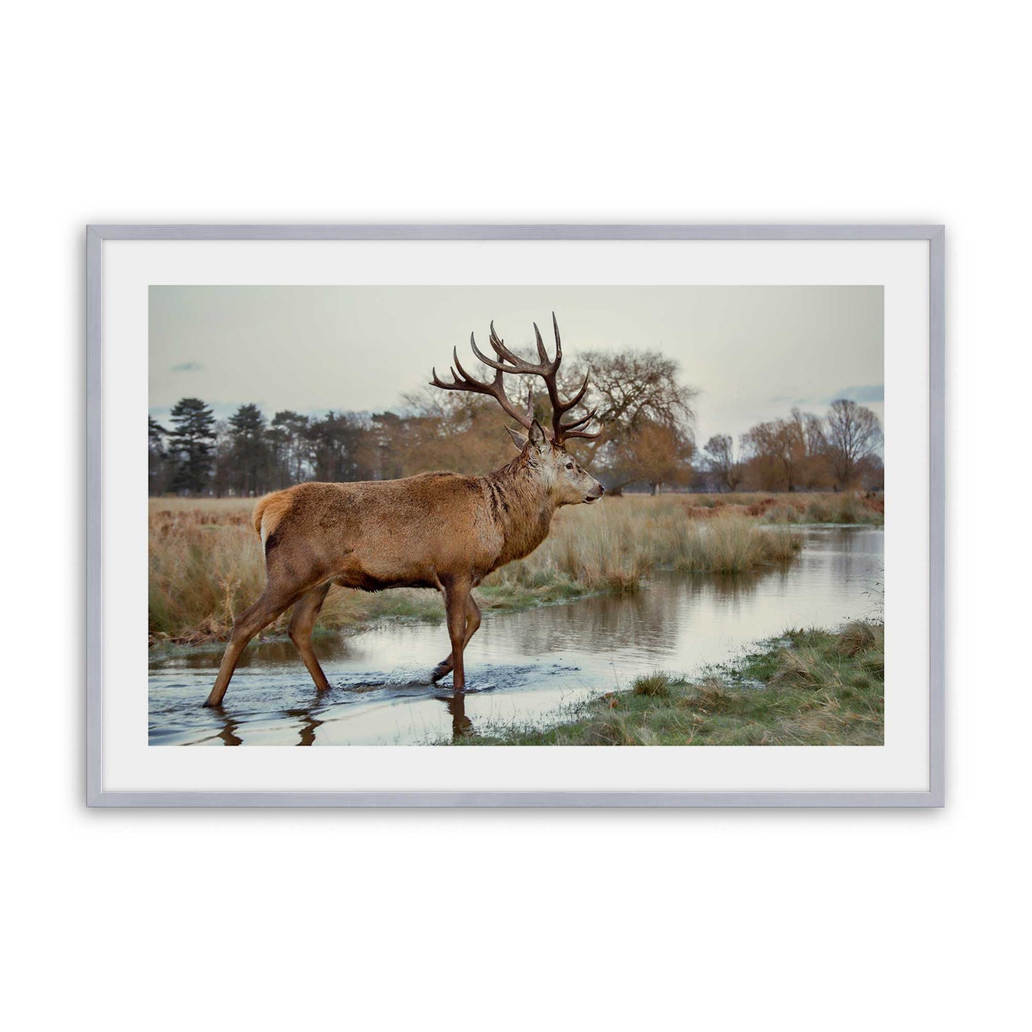 [Color:Polished Chrome], Picture of art in a Polished Chrome frame