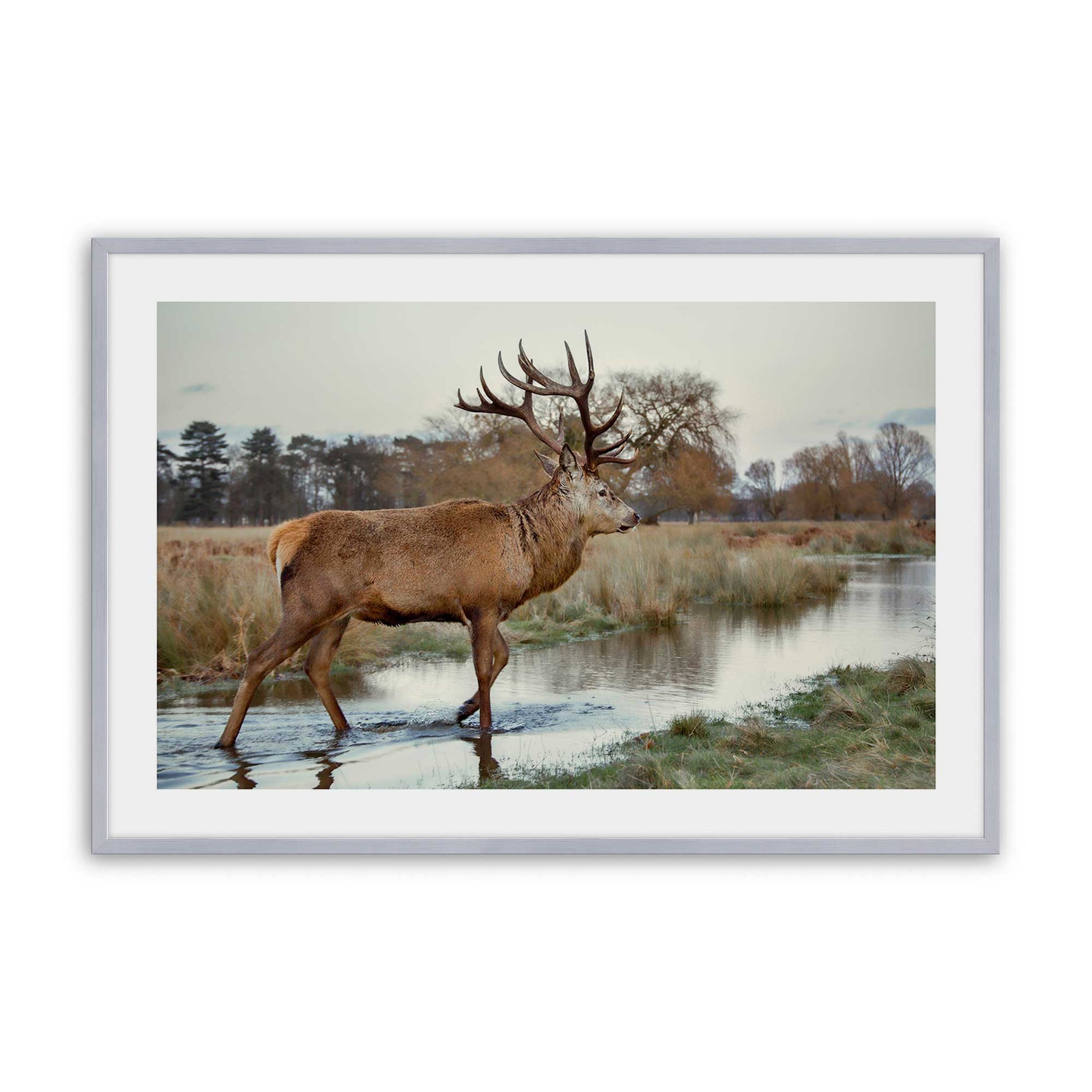 [Color:Polished Chrome], Picture of art in a Polished Chrome frame