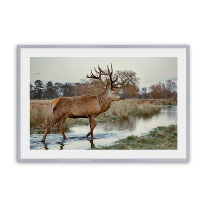 [Color:Polished Chrome], Picture of art in a Polished Chrome frame