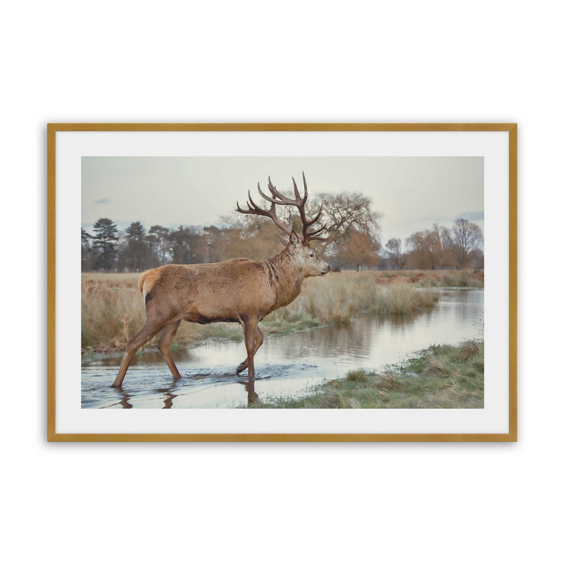 [Color:Polished Gold], Picture of art in a Polished Gold frame