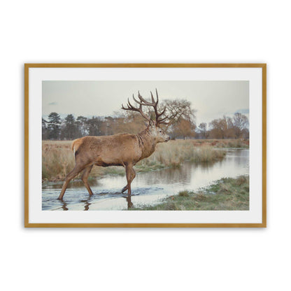 [Color:Polished Gold], Picture of art in a Polished Gold frame