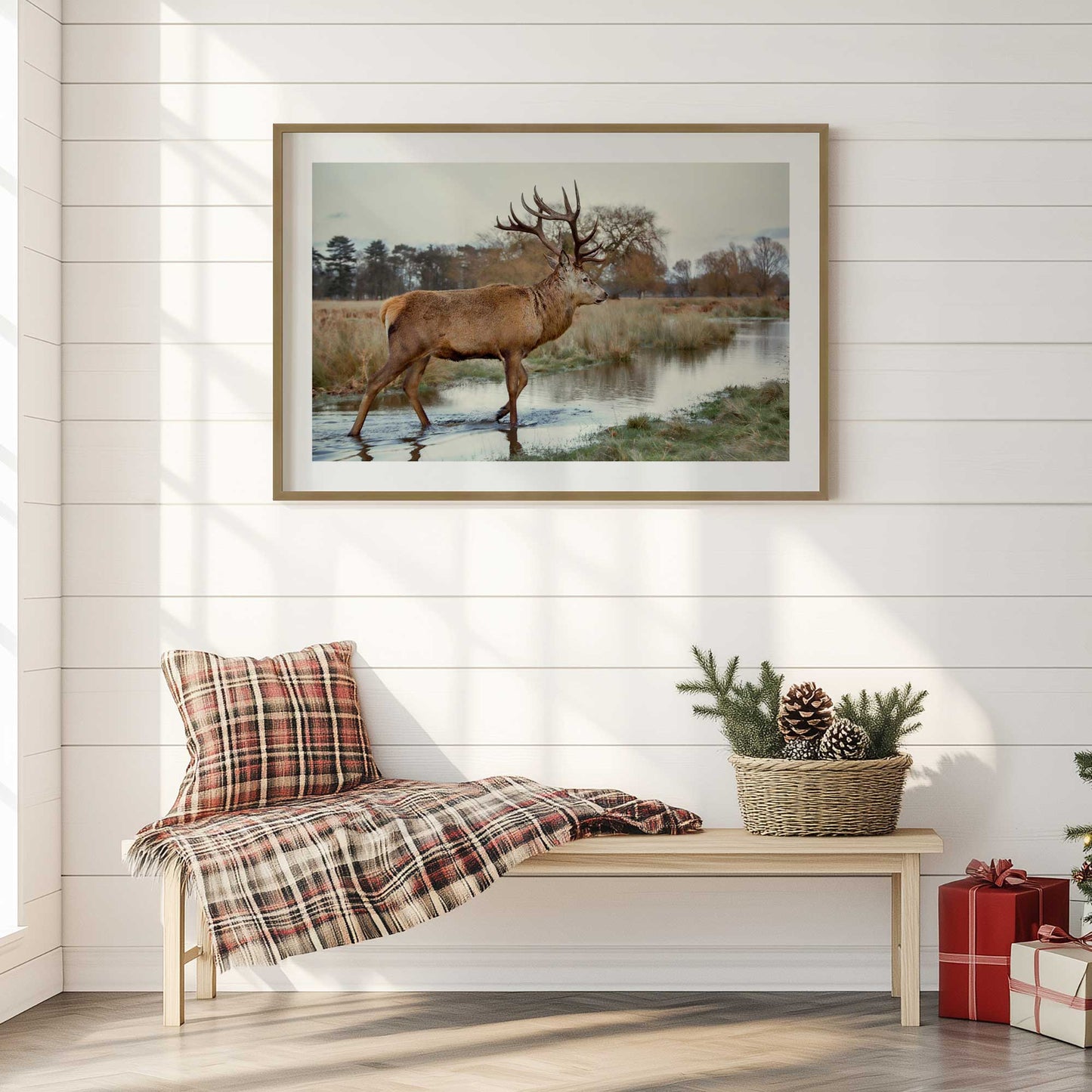 [LIFESTYLE],[SPECIAL],  Picture of art in a roo