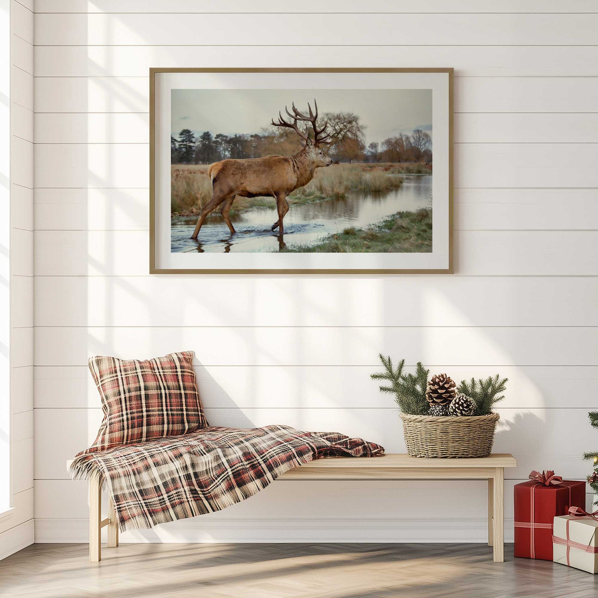 [LIFESTYLE],[SPECIAL],  Picture of art in a roo