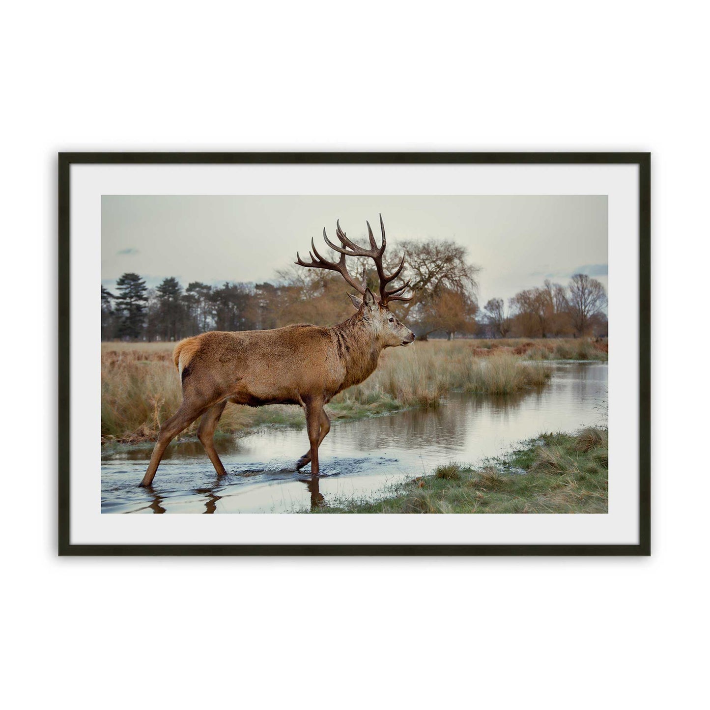 [Color:Satin Black], Picture of art in a Satin Black frame