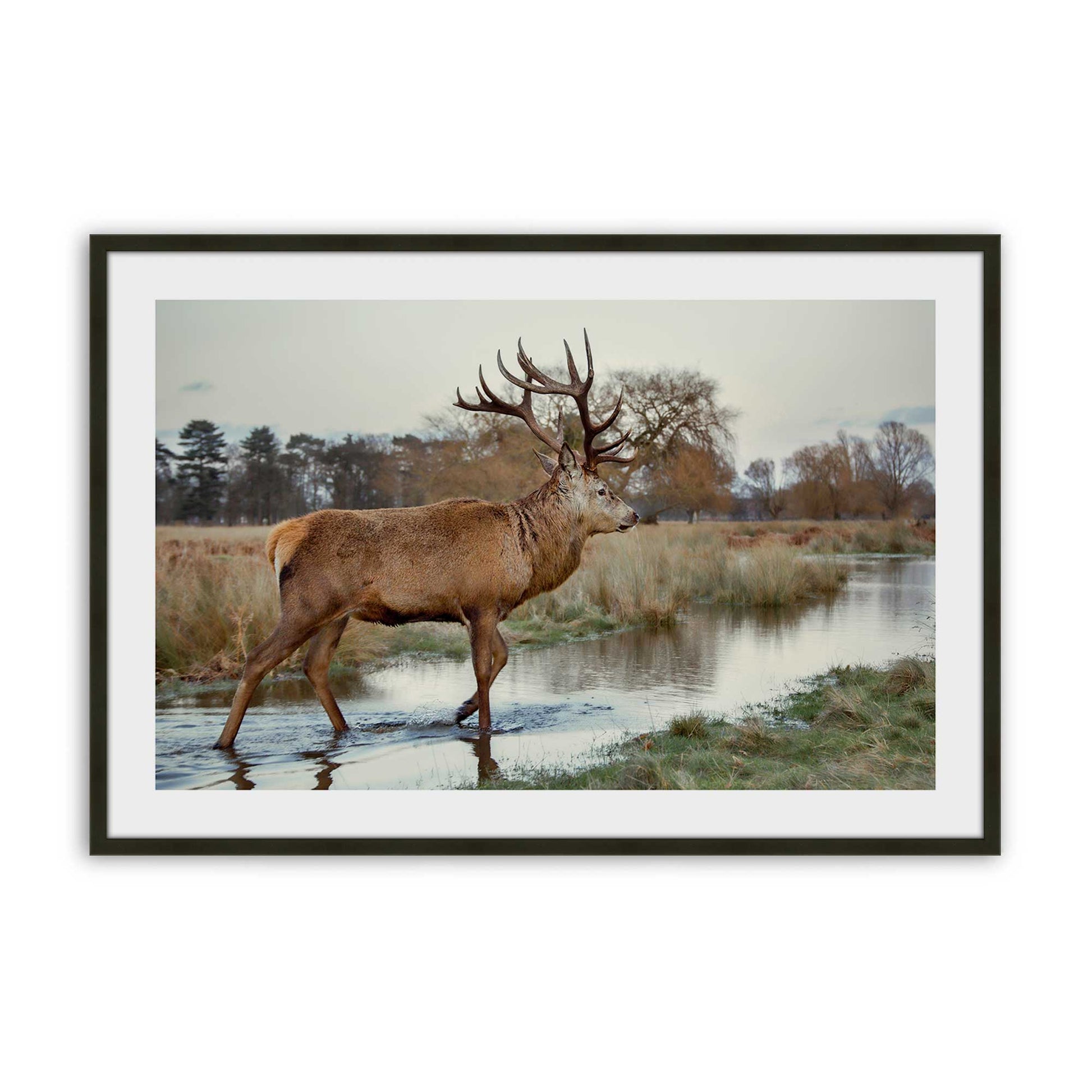 [Color:Satin Black], Picture of art in a Satin Black frame