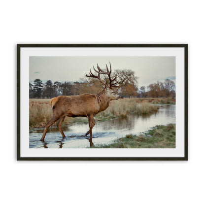 [Color:Satin Black], Picture of art in a Satin Black frame