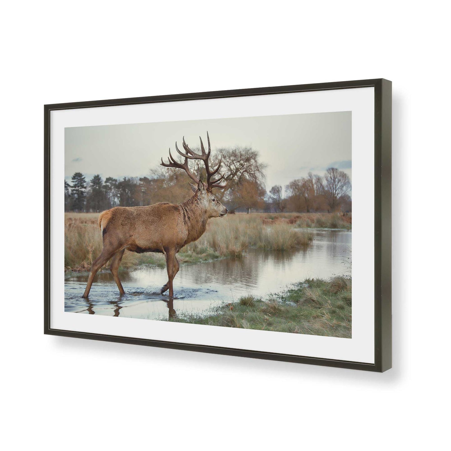 [Color:Satin Black], Picture of art in a Satin Black frame of the corner