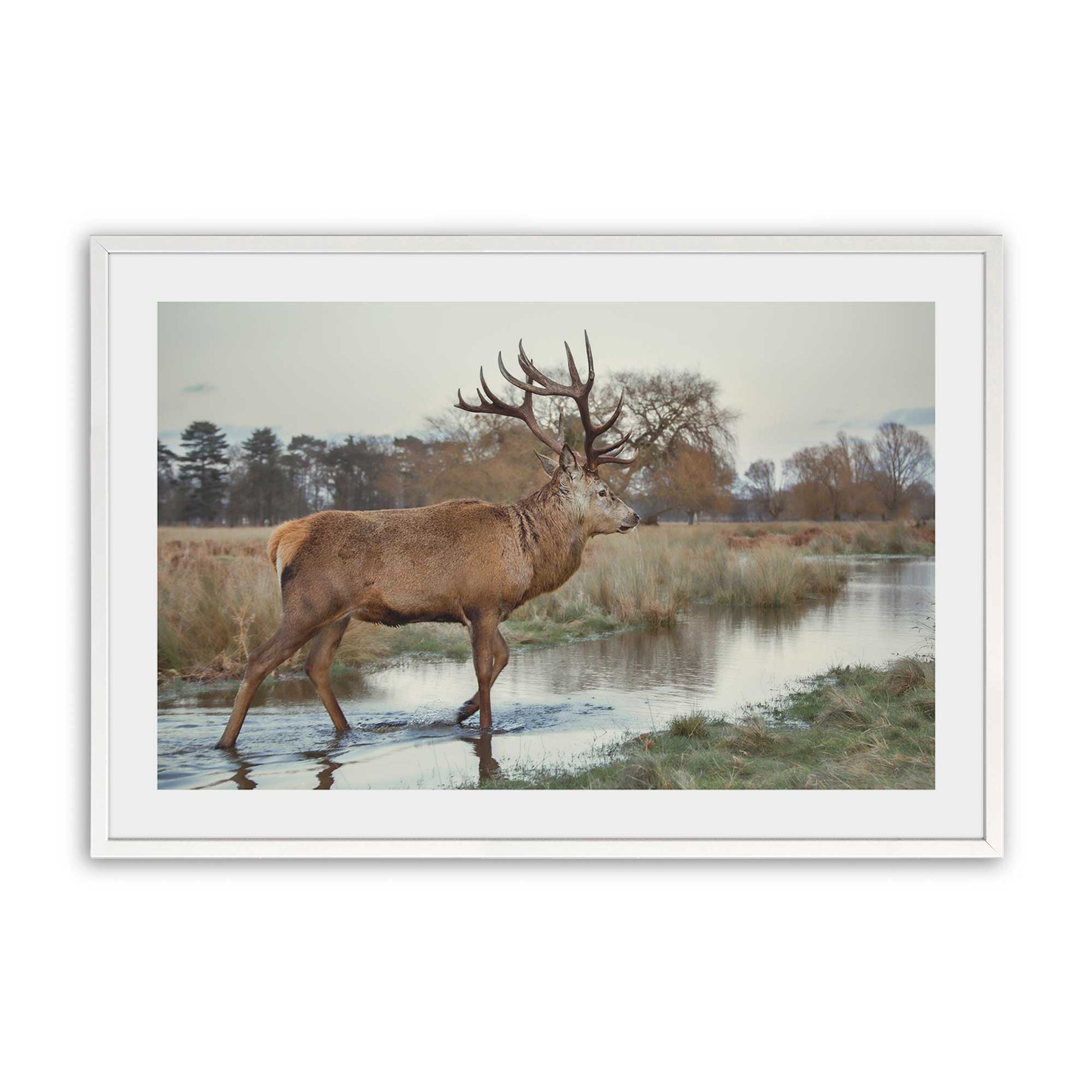 [Color:Opaque White], Picture of art in a Opaque White frame