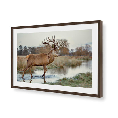 [Color:Brown], Picture of art in a Brown frame of the corner