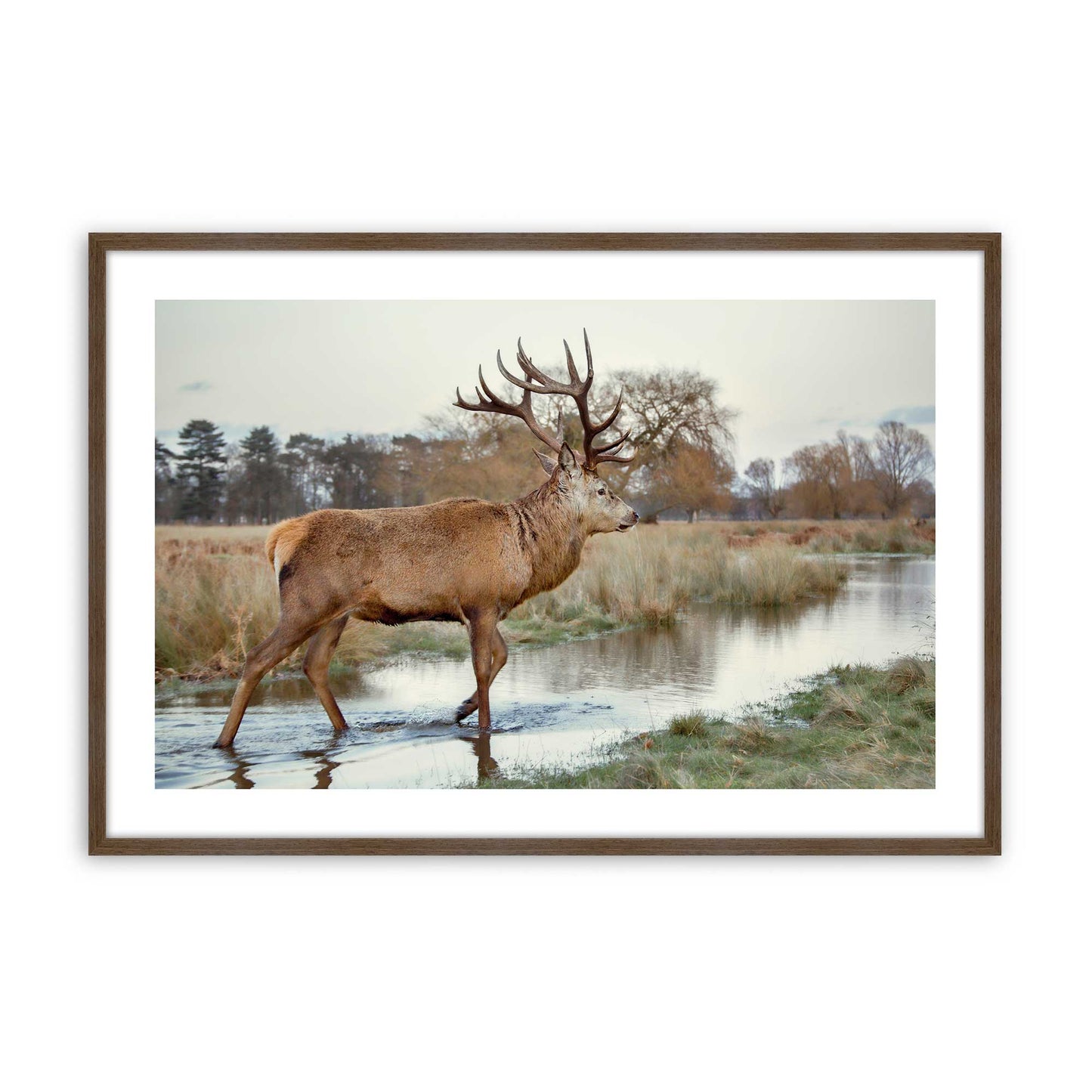 [Color:Walnut], Picture of art in a Walnut frame