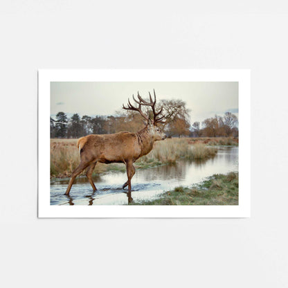 [Color:Rolled Print], Picture of close up of art