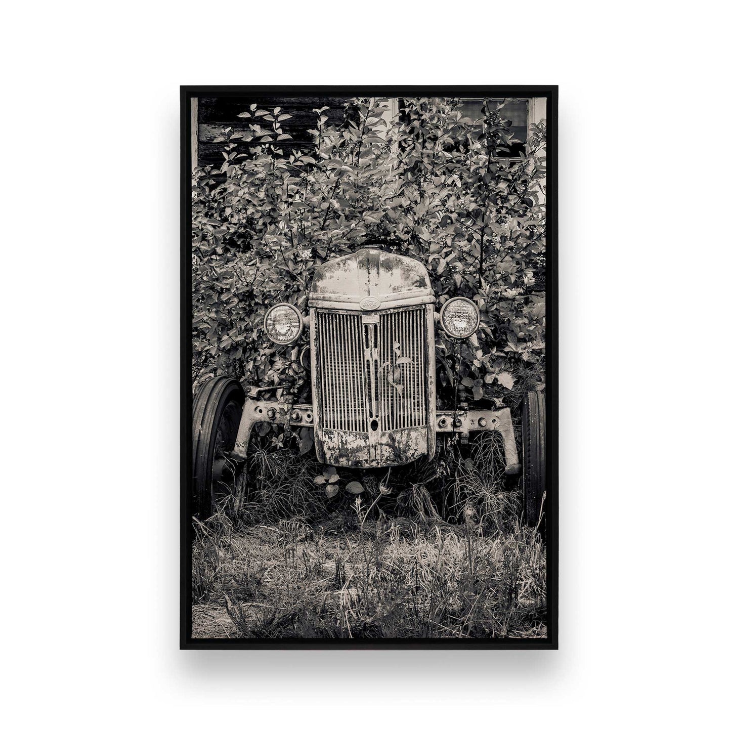 [SPECIAL],[Color:Satin Black],