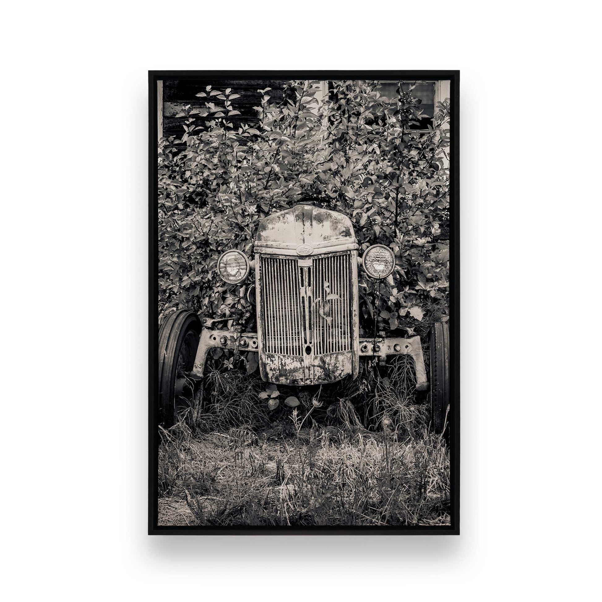 [Color:Satin Black], Picture of art in a Satin Black frame