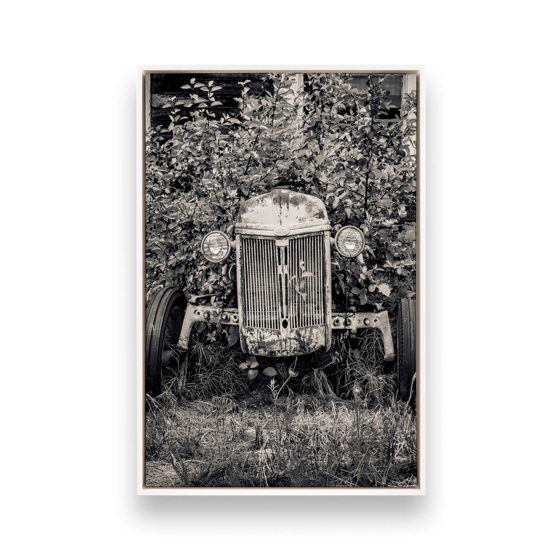 [Color:Opaque White], Picture of art in a White frame