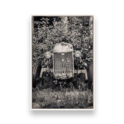 [Color:Opaque White], Picture of art in a White frame