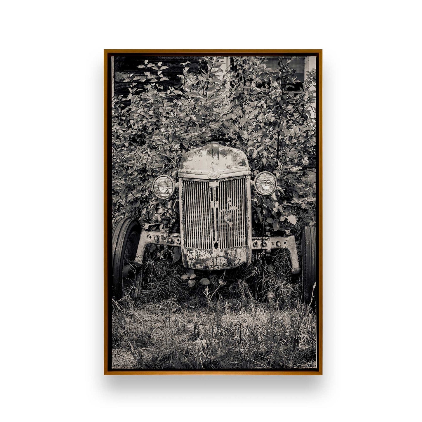 [Color:Polished Gold], Picture of art in a Polished Gold frame