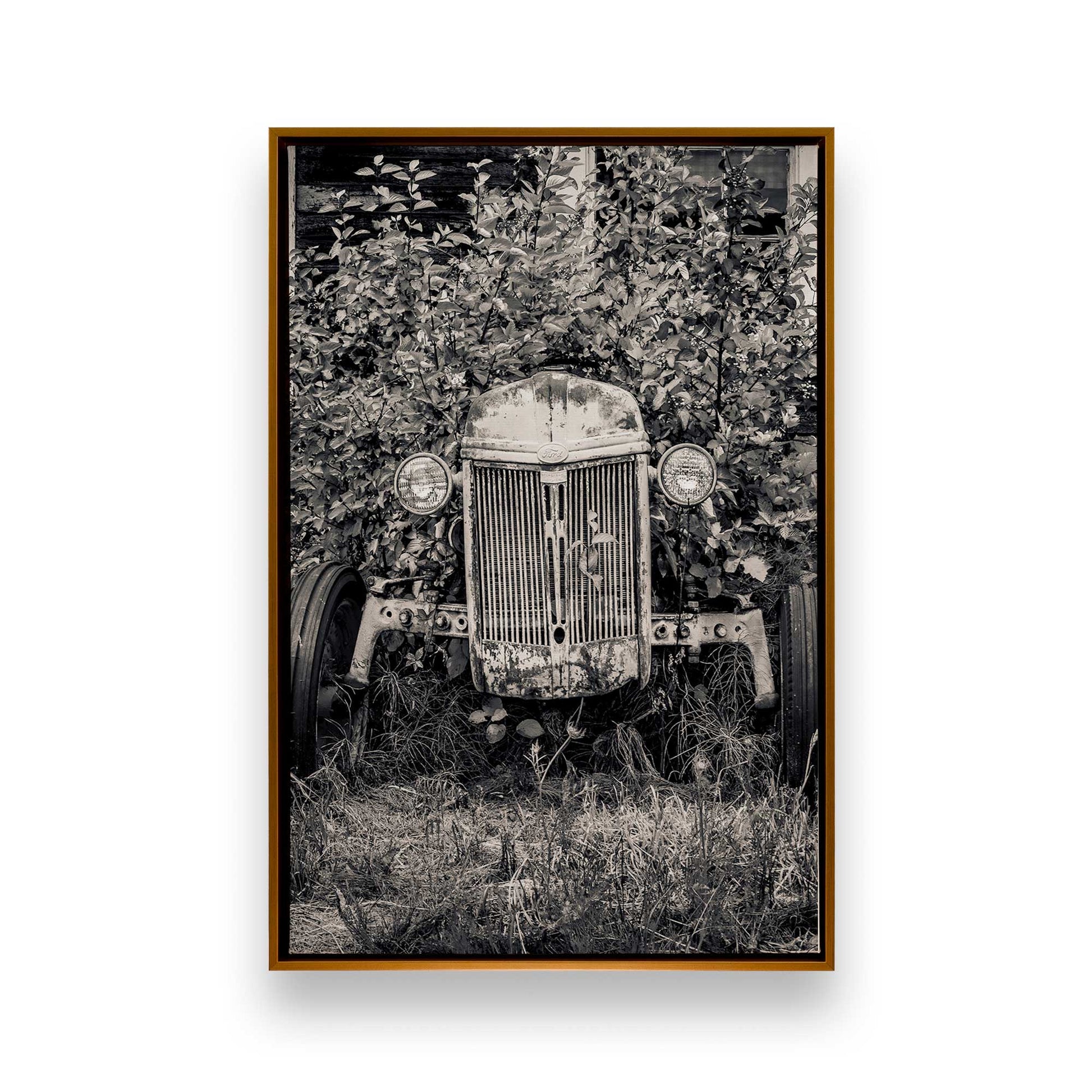 [Color:Polished Gold], Picture of art in a Polished Gold frame