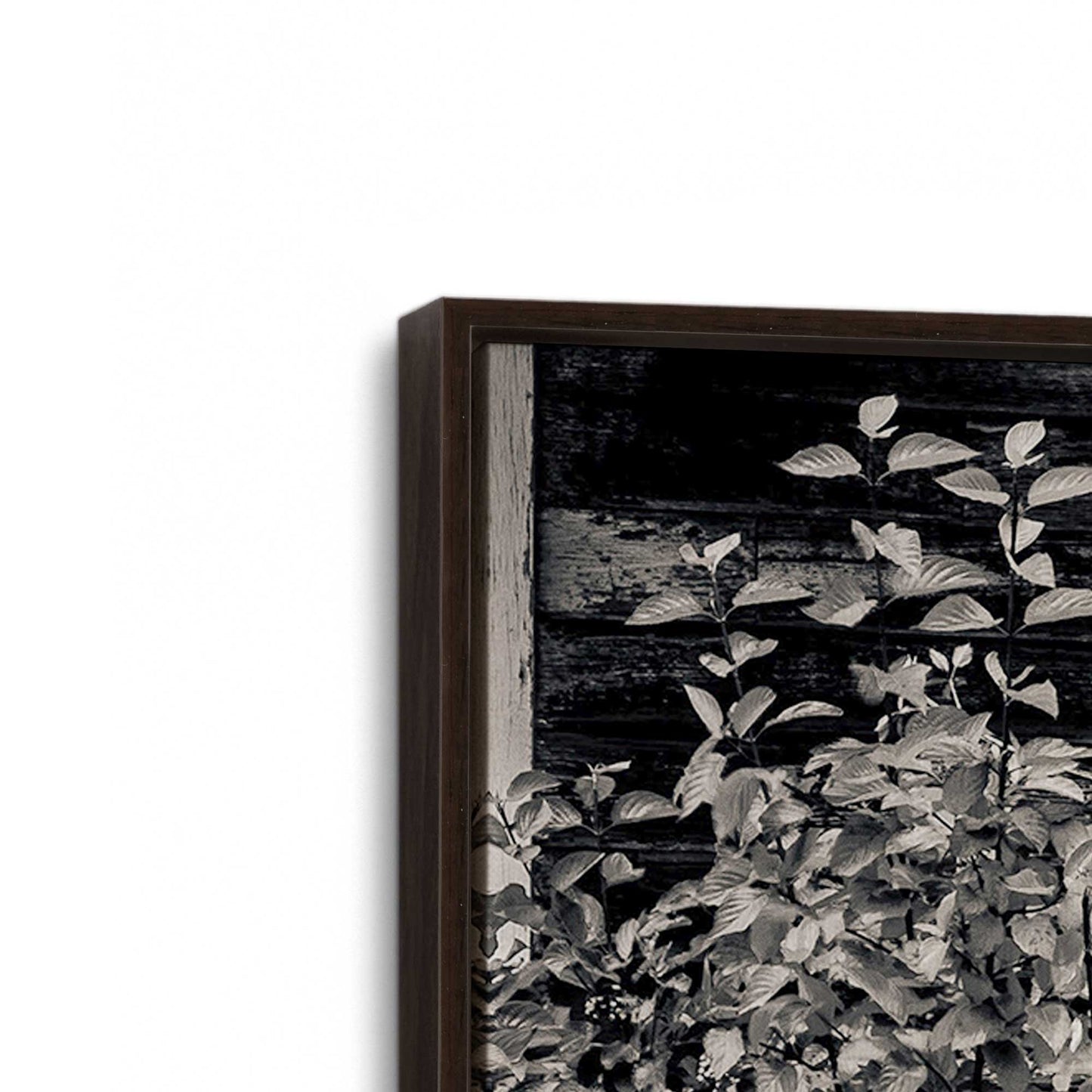 [Color:Espresso], Picture of art in a Espresso frame at an angle