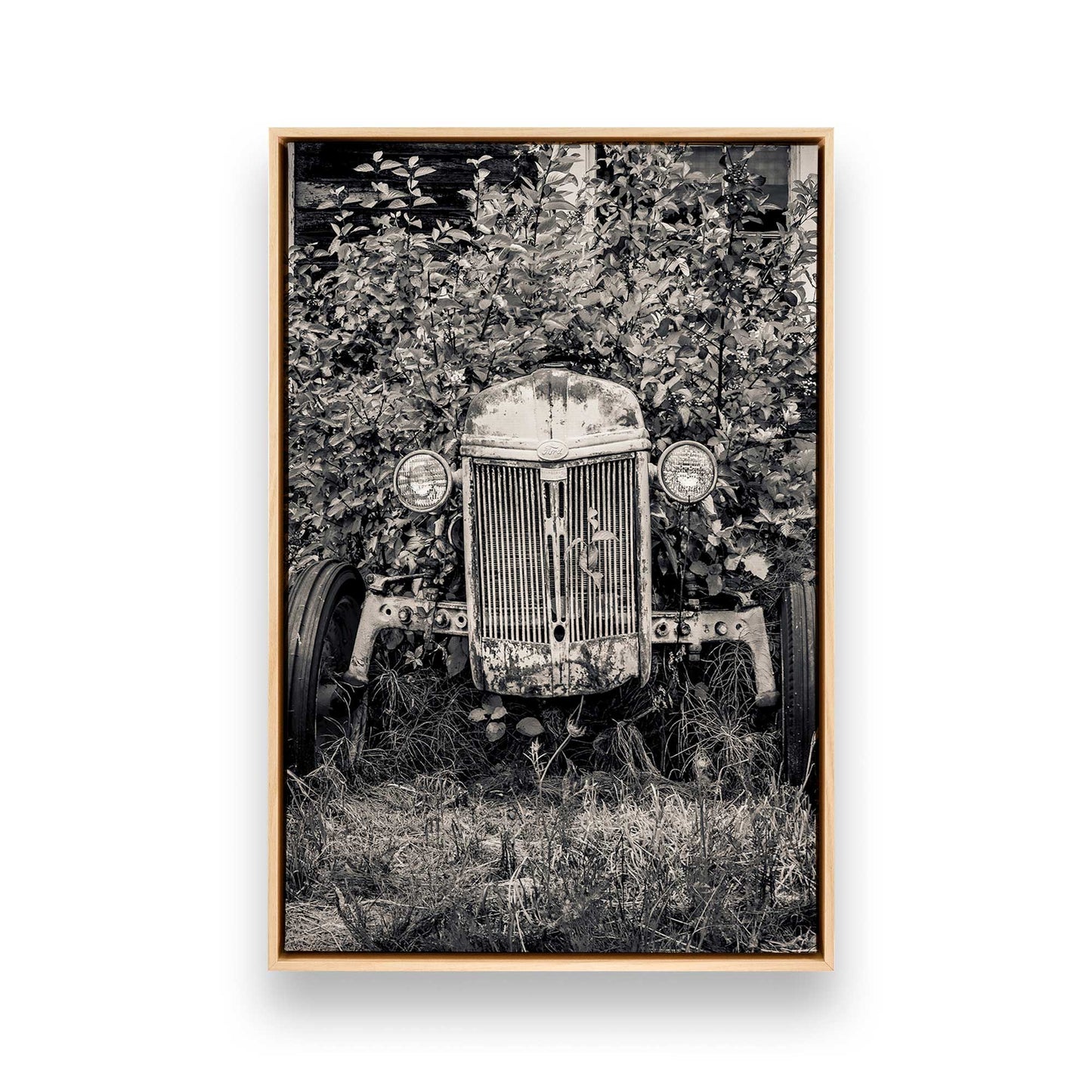 [Color:American Maple], Picture of art in a American Maple frame