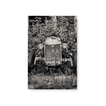 [Color:Stretched Canvas], Picture of art