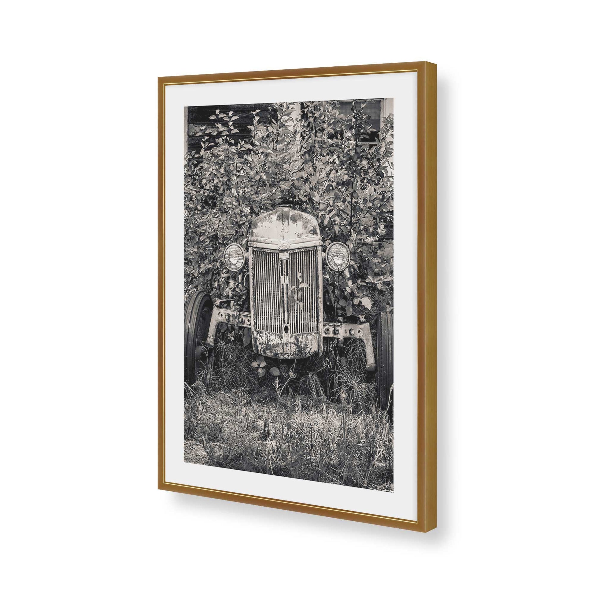 [Color:Polished Gold], Picture of art in a Polished Gold frame of the corner