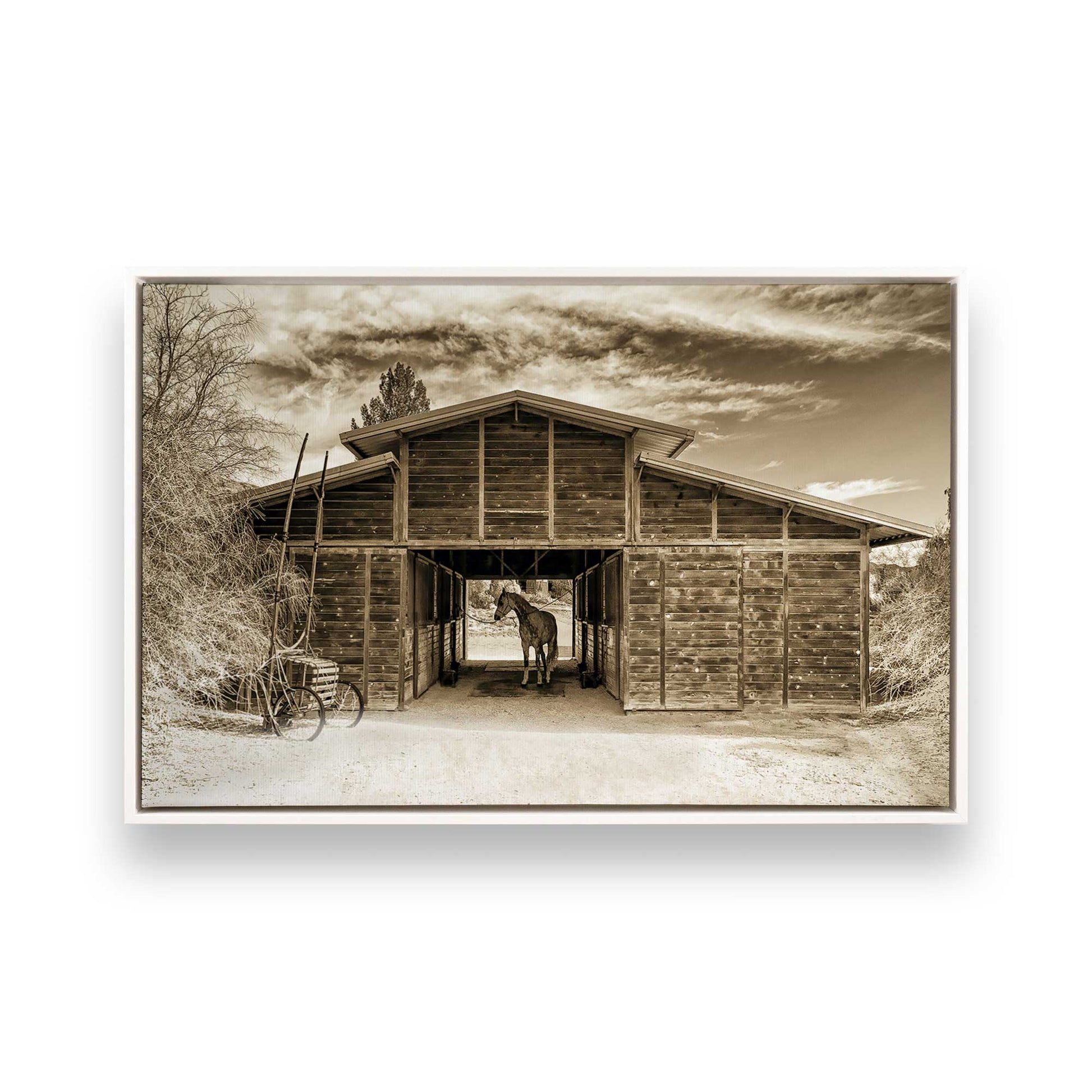 [Color:Opaque White], Picture of art in a White frame