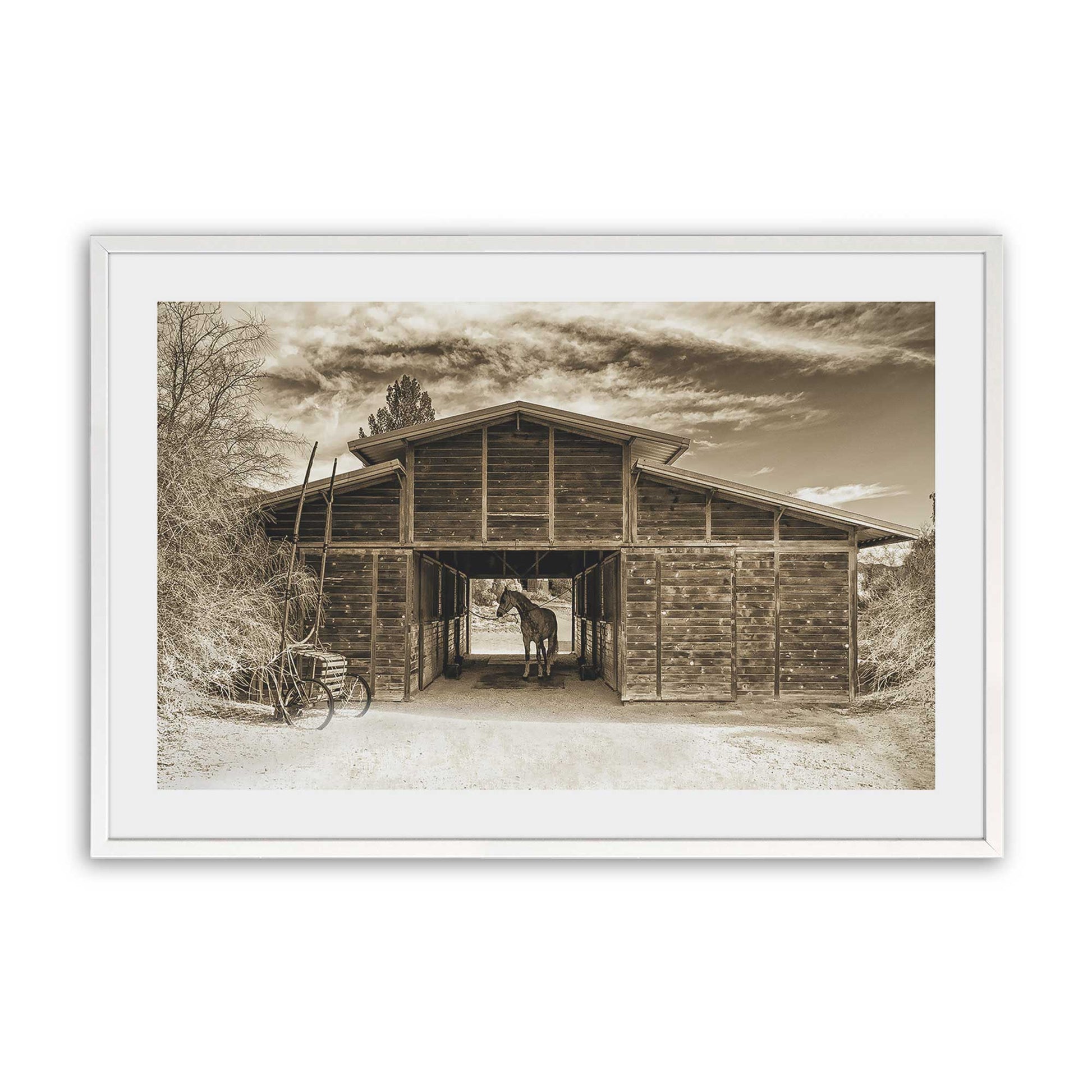 [Color:Opaque White], Picture of art in a Opaque White frame