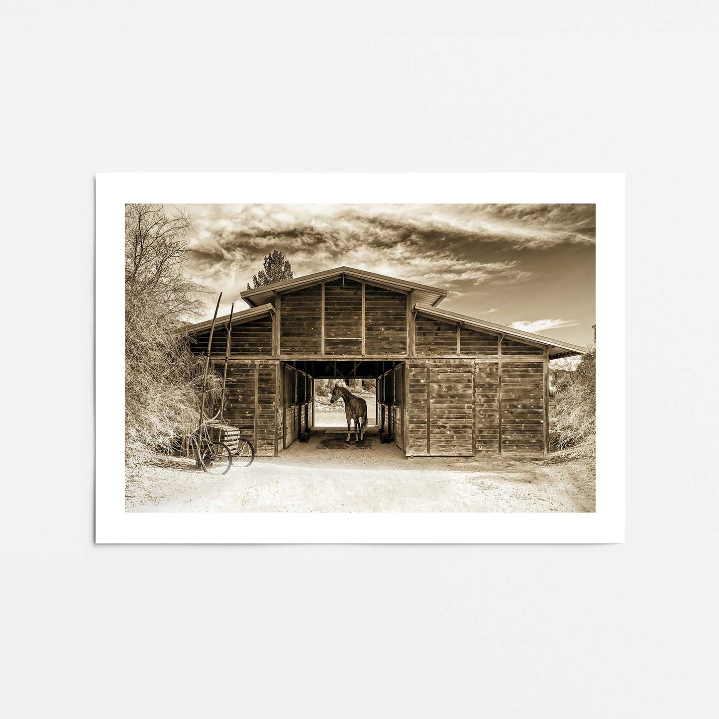 [Color:Rolled Print], Picture of close up of art