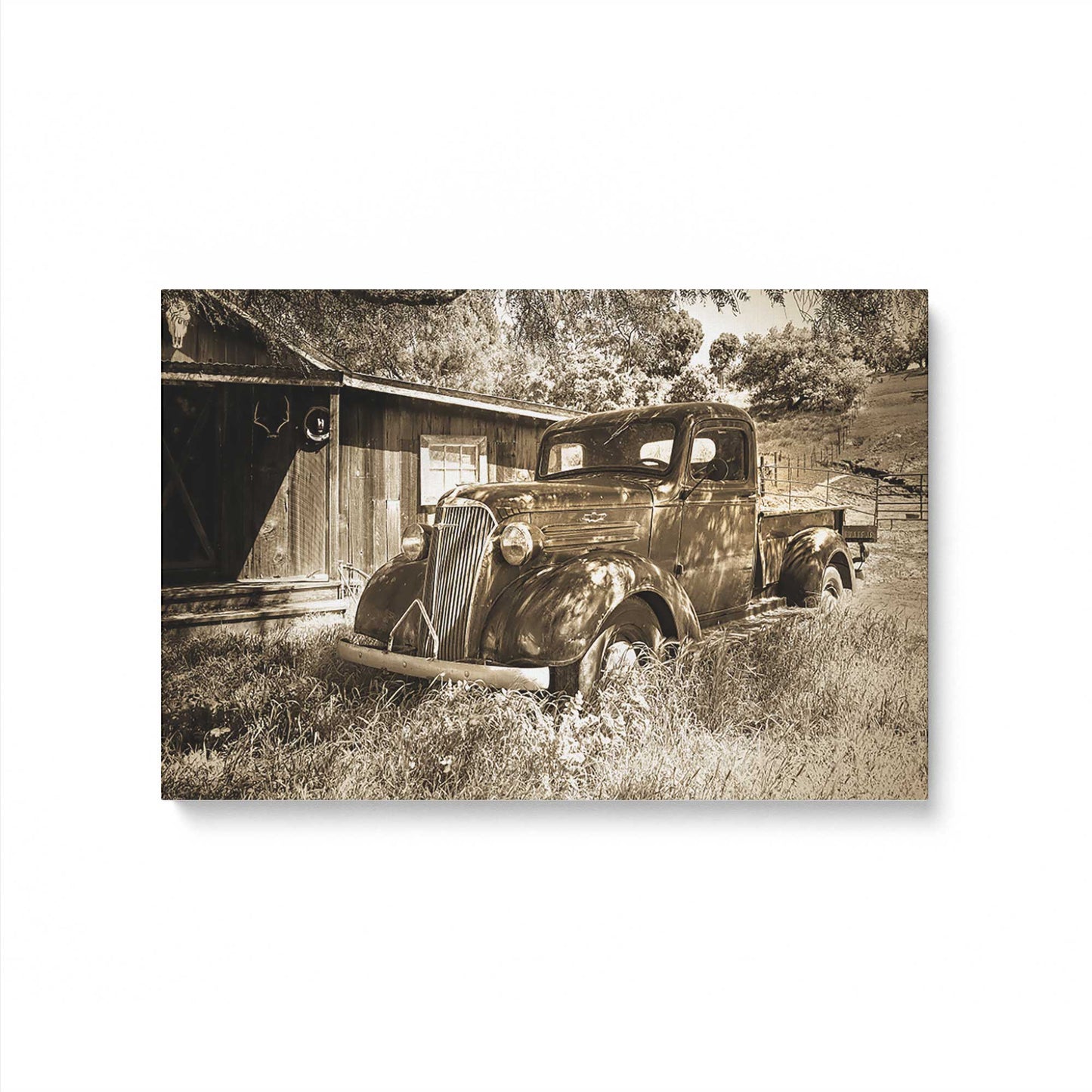 [Color:Stretched Canvas], Picture of art