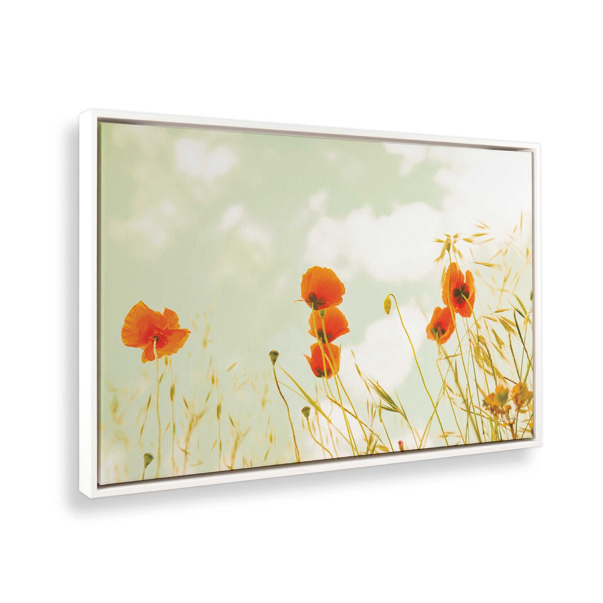 [Color:Opaque White], Picture of art in a White frame at an angle
