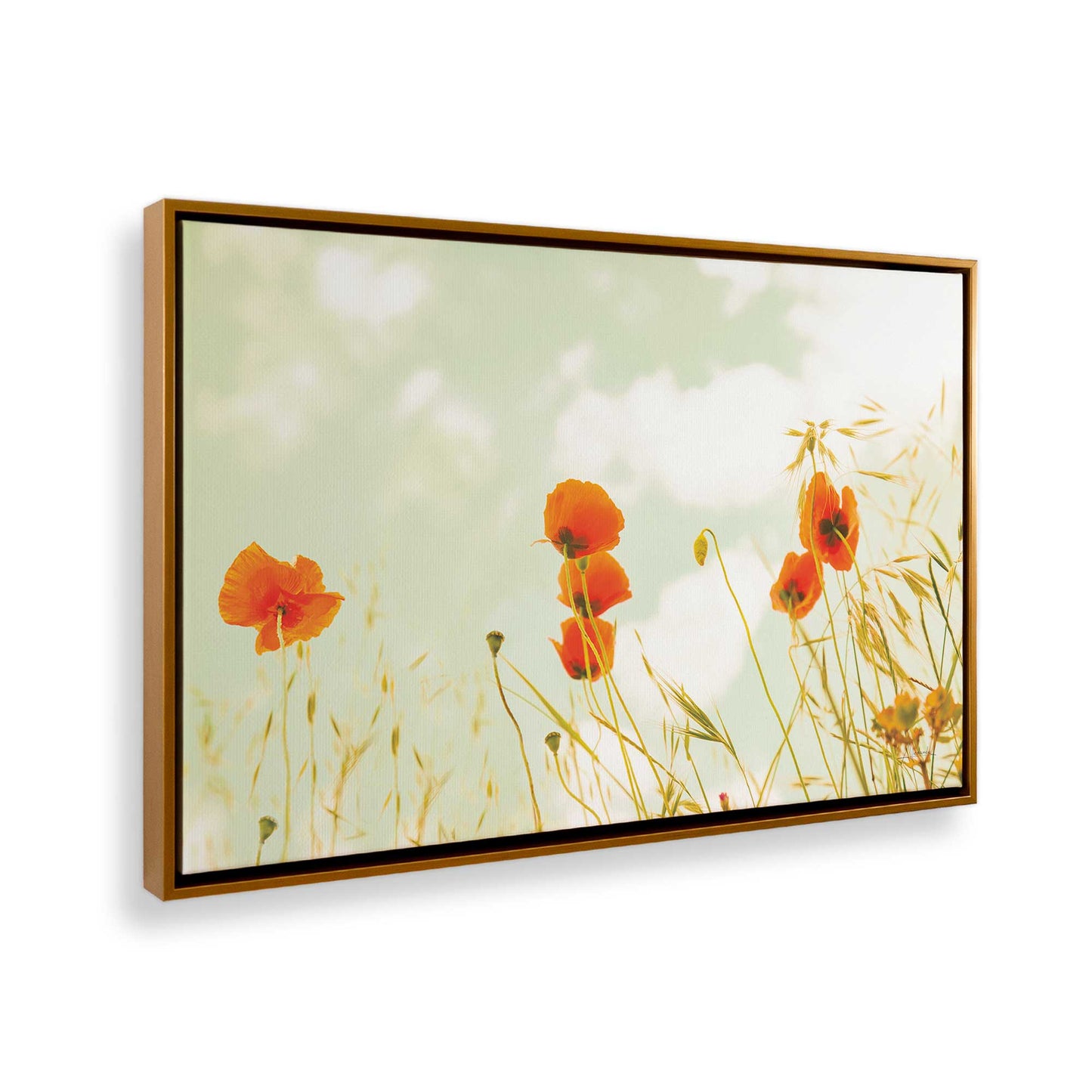 [Color:Polished Gold], Picture of art in a Polished Gold frame at an angle