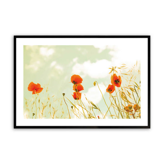 [Color:Satin Black],Front image of the art