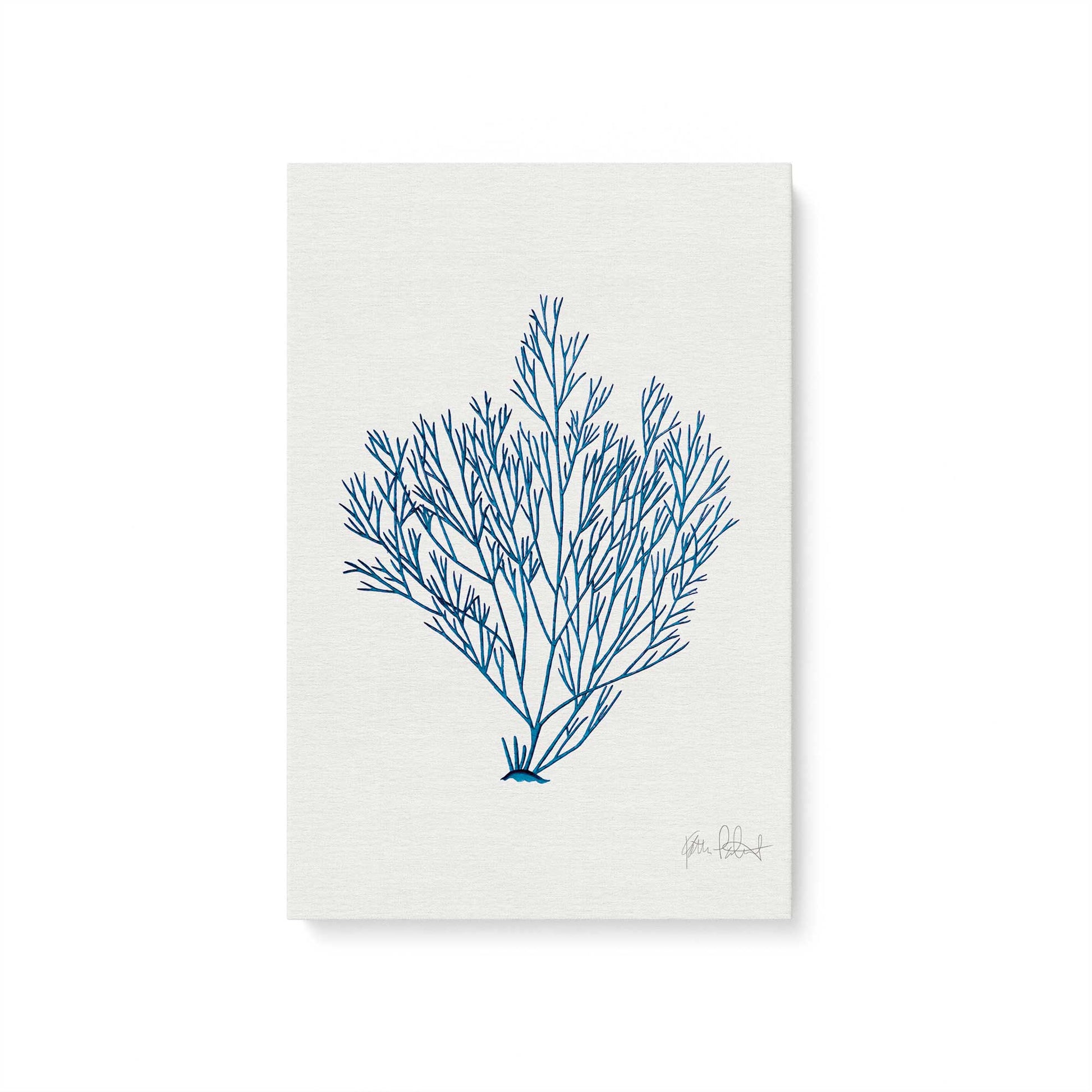 [Color:Stretched Canvas], Picture of art