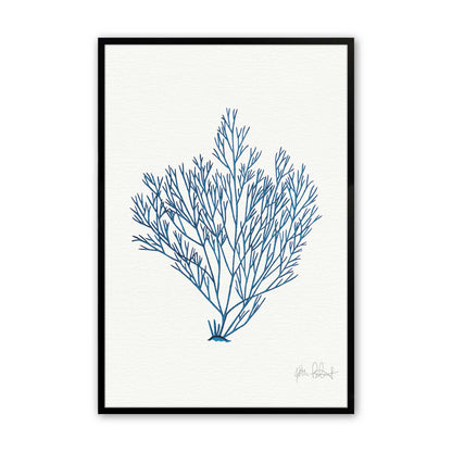 [Color:Satin Black],Front image of the art