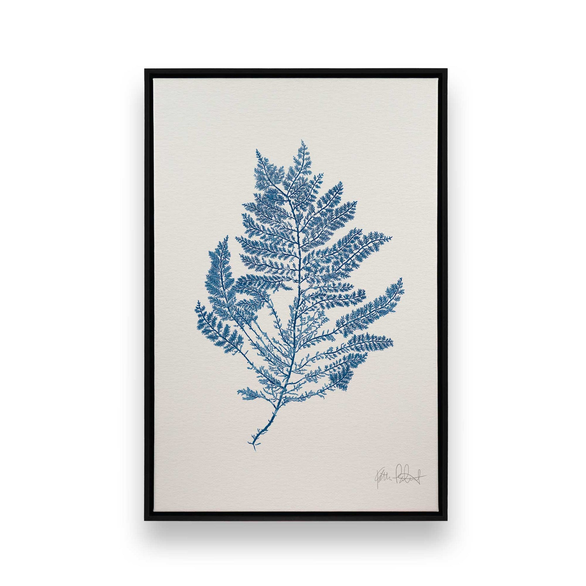 [Color:Satin Black], Front image of the art